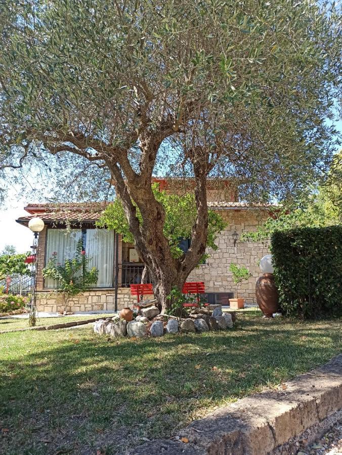 B&B Villa Garden Saturnia Exterior foto